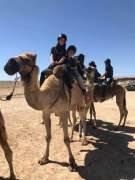 IMG-20190410-WA0044